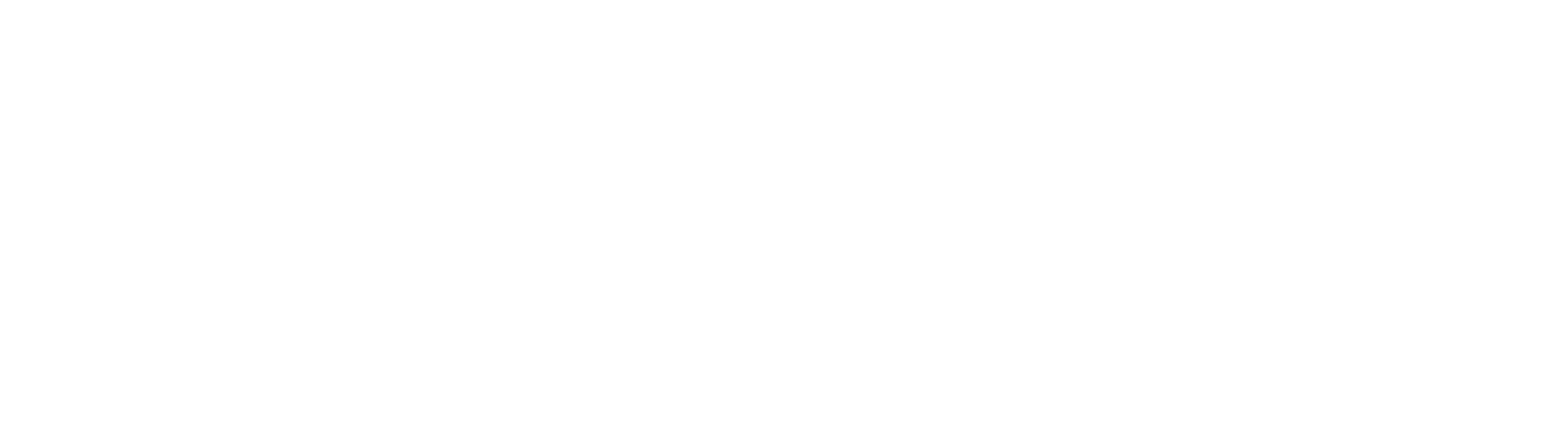 MVZ Fijnmechaniek
